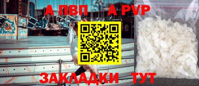стаф Кунгур